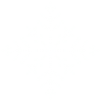 Christmas Snowflake Illustration